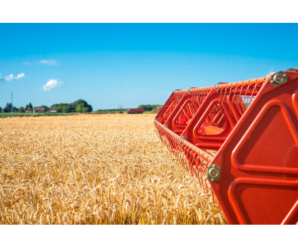 Импортозамещение в производстве запчастей для сельскохозяйственной техники: преимущества и вызовы