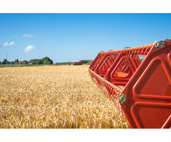 Эффективные методы настройки комбайнов Claas для минимизации потерь зерна