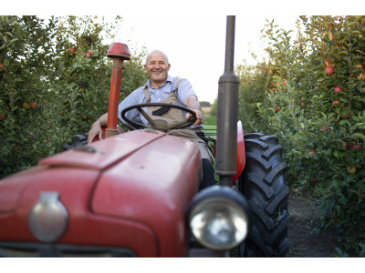 Відновлення раритетної сільгосптехніки