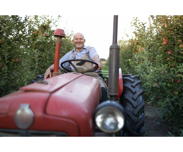 Восстановление раритетной сельхозтехники