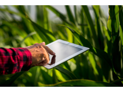 Як штучний інтелект змінює агротехніку