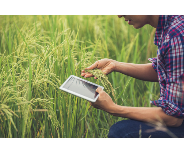 Тренды в агротехнике: что будет популярно в ближайшие 5 лет